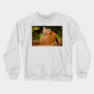 Red Fox Crewneck Sweatshirt